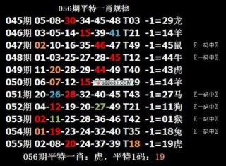 搜狐订阅：今期澳门三肖三码开一码2024年-bone是什么意思