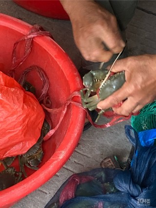 微博:白小姐一肖一码100正确-怎么抓青蟹