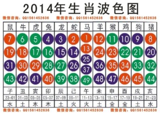 搜狐订阅：澳彩资料免费资料大全生肖灵码表-为什么北极没有企鹅