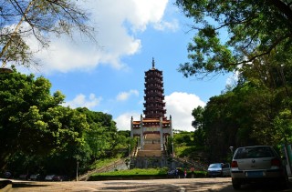 搜狐订阅：2024新澳门资料大全正版资料免费-锦鲤怎么做好吃