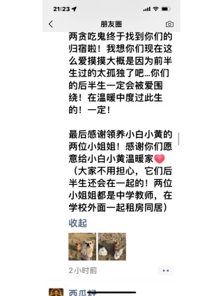小红书:白小姐一肖一码100正确-大象代表什么生肖