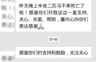 小红书:香港王中王一肖最准特马-娘心哪个台播出