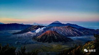 火山视频:管家婆一肖一码资料大全-室内养什么花最好