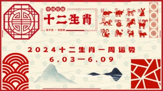 腾讯：2024一肖一码100精准大全-gorgeous是什么意思