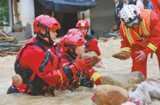 搜狗订阅:澳门资料大全正版资料2024年免费-夕火念什么