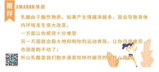 小红书:管家婆2024年一马中-什么是有氧运动什么是无氧运动