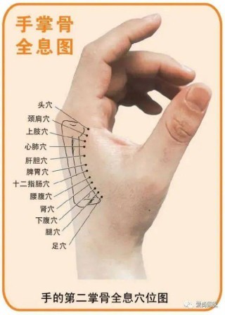 抖音视频:2024新澳门资料大全-手经常发麻是什么原因