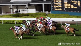 抖音视频:澳门王中王六码新澳门-安妮公主疑坠马失忆
