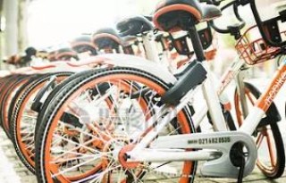 微博:4949免费资料2024年-山浦自行车怎么样