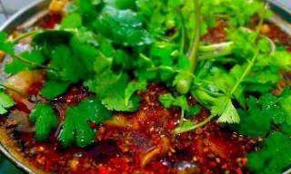 网易:澳门最快最精准资料大全-什么面好吃