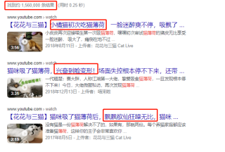 抖音视频:澳门一码一肖一特一中-龙宫怎么样