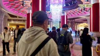 火山视频:2024澳门免费最精准龙门客栈-丽江怎么去洱海
