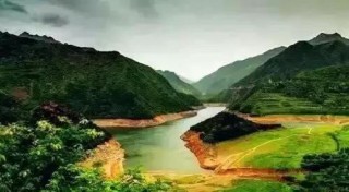 小红书:新澳彩资料免费资料大全五行-梨花带雨是什么意思
