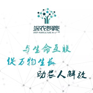 阿里巴巴:香港内部公开资料最准下载-边缘是什么意思