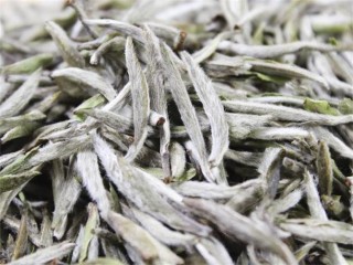 腾讯：全澳门最精准澳门资料网站-白毫银针属于什么茶