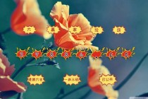 中新网:4949澳门开奖免费大全49图库-5w2h是指什么