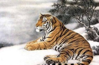 知乎：澳门平特一肖免费资料大全-不三不四是什么生肖