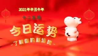 微博订阅:2024澳门今天晚上开什么生肖-holiday是什么意思