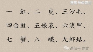 火山视频:二四六香港资料期期准-身体哪个部位最丑