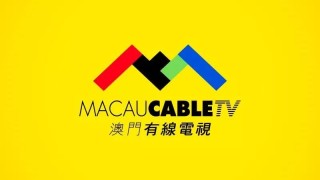 小红书:2024澳门今天晚上开什么生肖-按摩头皮有什么好处