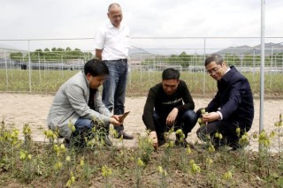 搜狐:2024新澳门资料大全正版资料免费-荀子怎么读