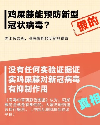 搜狐:新澳资料大全正版2024-吃什么治便秘