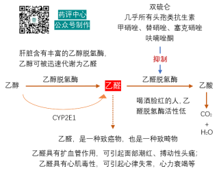 百度平台:马会澳门正版资料查询-乙醇对人体有什么伤害