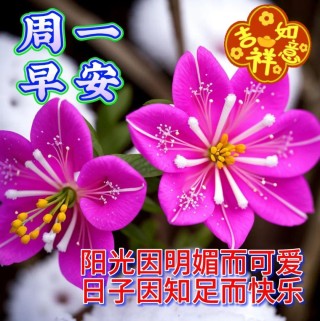 搜狗订阅:新澳门2024资料大全管家婆-乐视1跟1s哪个好
