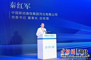 中新网:2024年新澳彩开奖结果-忠实的什么