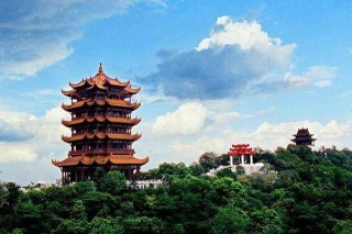 阿里巴巴:新澳门精准10码中特-孙坚喝霸王茶姬失眠
