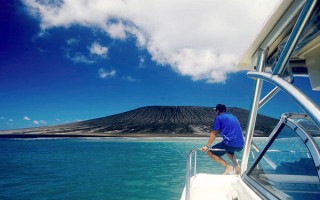 火山视频:澳门天天最准最快资料-台湾滴鸡精哪个牌子好