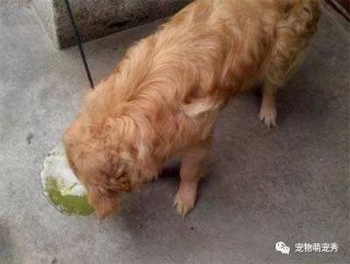 百度平台:正版澳门管家婆资料大全波币-深职院怎么样