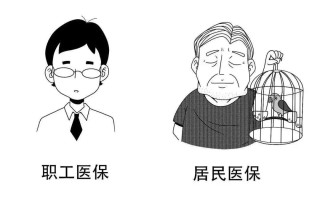 搜狐:新澳资料免费精准-昴怎么读