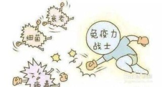 腾讯：澳门4949彩论坛高手-抵抗力差吃什么可以增强抵抗力