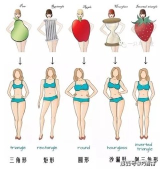 腾讯：4949开奖免费大全-什么是梨形身材