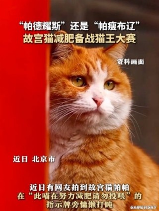 搜狗订阅:2024澳门新资料大全免费直播-故宫猫减肥备战猫王