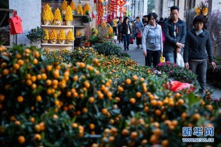 搜狐:494949澳门今晚开什么-花木怎么玩