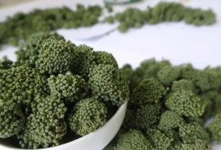 抖音视频:2o24新澳门彩4949资料-三七花泡水喝有什么功效和作用
