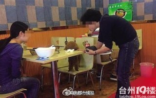火山视频:白小姐一肖一码100正确-就餐与宠物共用餐具