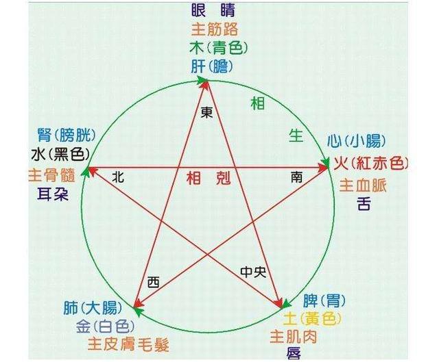 中新网:正版资料免费资料大全-五行土什么颜色  第1张