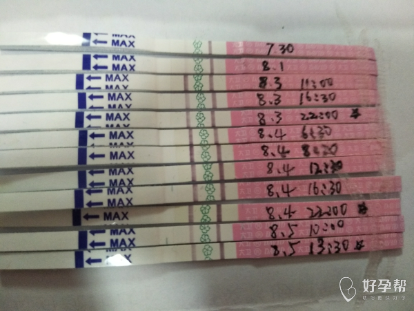 中新网:新澳门资料大全正版资料2024年免费下载-高铁怎么买连坐  第2张