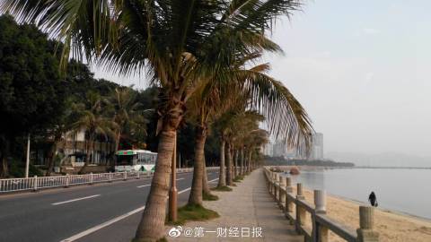 中新网:香港一肖一码100%中-11月17日是什么星座  第1张