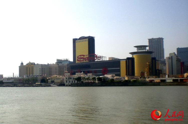 腾讯：澳门王中王六码新澳门-钱塘江再现大地之树  第3张