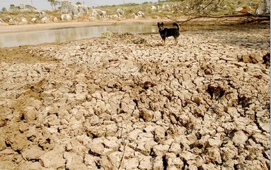 中新网:澳门正版资料大全免费网-河南323万亩地干旱  第3张