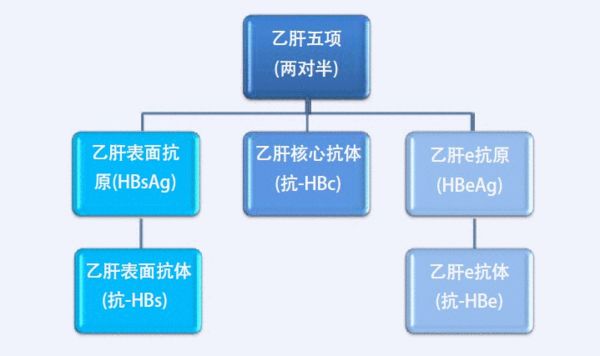网易:澳门正版资料大全有哪些-乙肝核心抗体阳性是什么意思  第1张