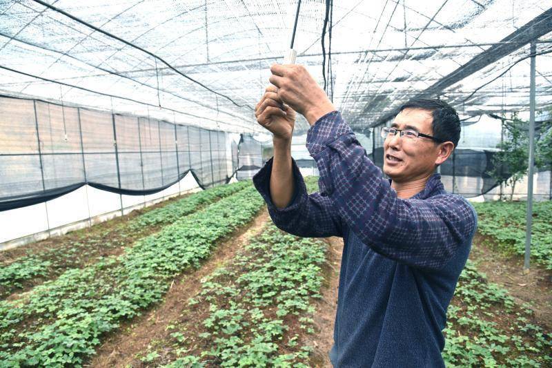 腾讯：2024年新澳彩开奖结果-吸氧有什么好处  第1张