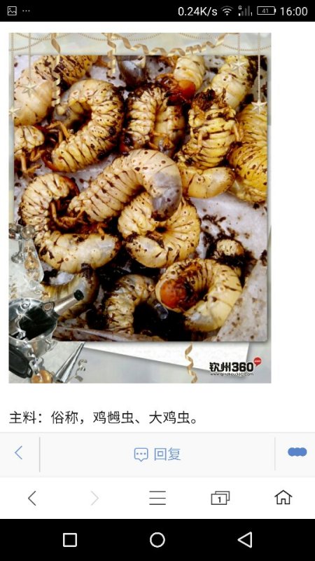 阿里巴巴:新澳彩资料免费资料大全五行-江苏省人民医院怎么走  第3张