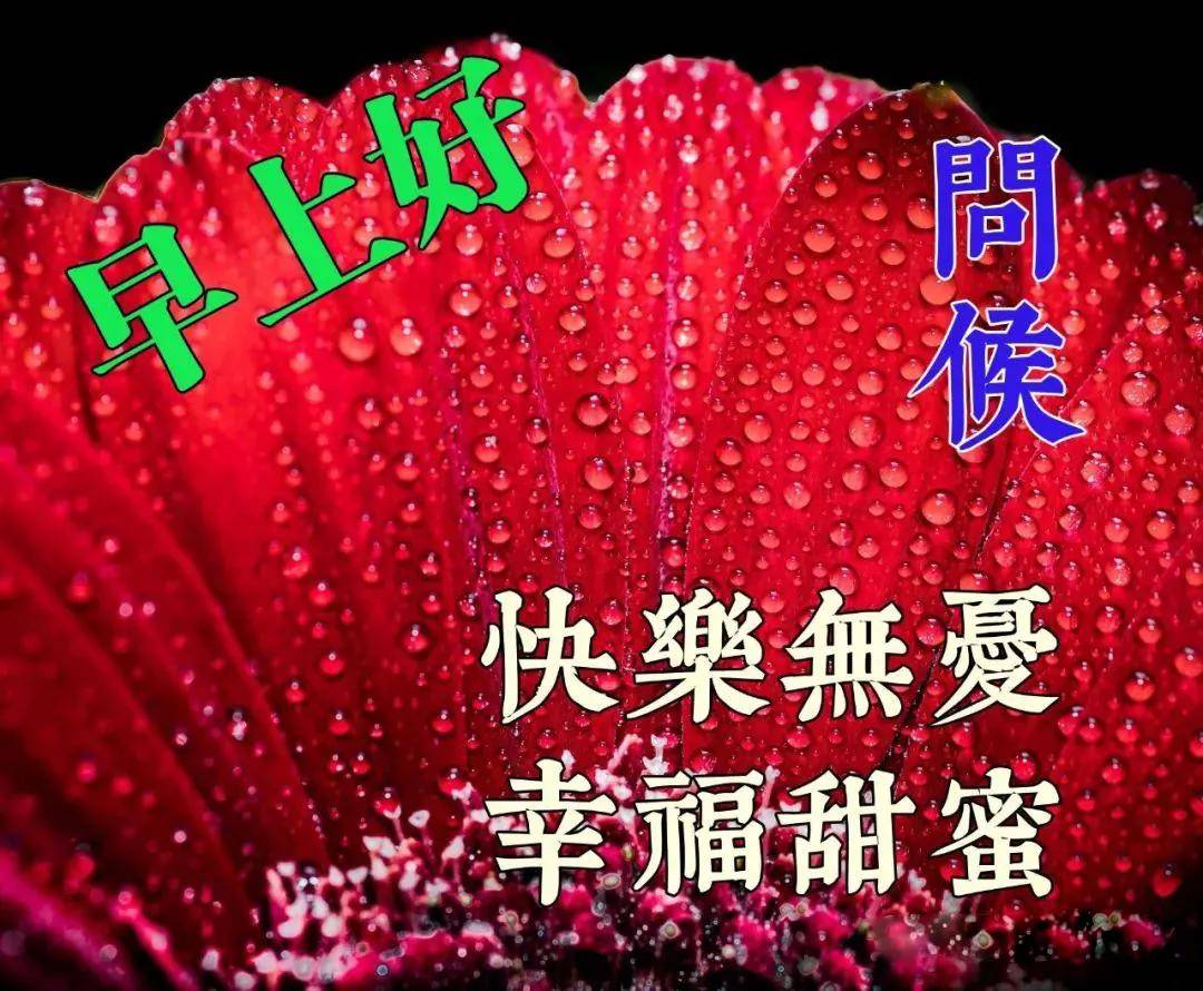 搜狗订阅:新澳门2024资料大全管家婆-乐视1跟1s哪个好  第1张