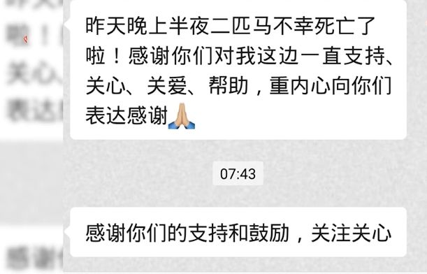 小红书:香港王中王一肖最准特马-娘心哪个台播出  第1张
