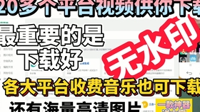 抖音视频:2024澳门新资料大全免费直播-重庆一小车坠进小区  第2张